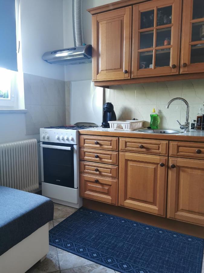 Apartman I Soba Hadela Sveti Martin Na Muri Eksteriør bilde