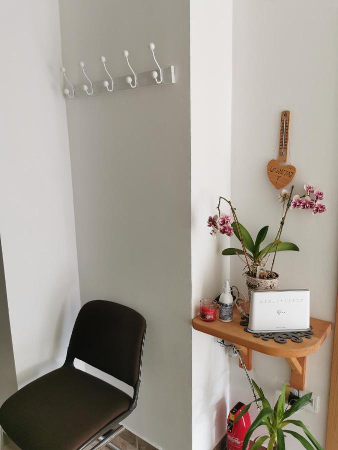 Apartman I Soba Hadela Sveti Martin Na Muri Eksteriør bilde