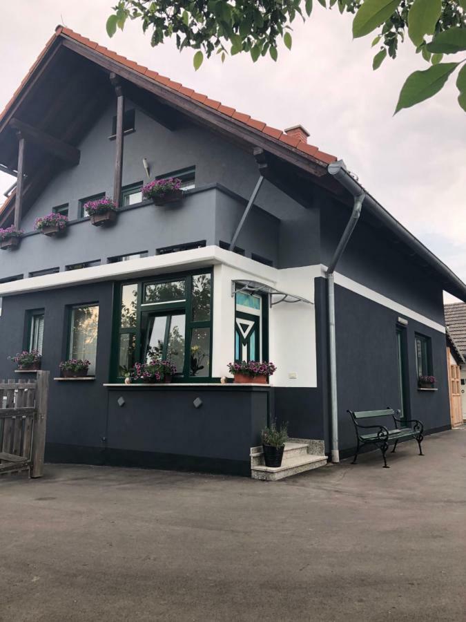 Apartman I Soba Hadela Sveti Martin Na Muri Eksteriør bilde